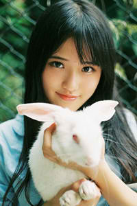宁安如梦在线观看全集